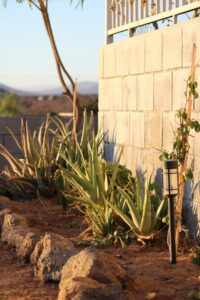 vivian luciano redrqb8 yqe unsplash