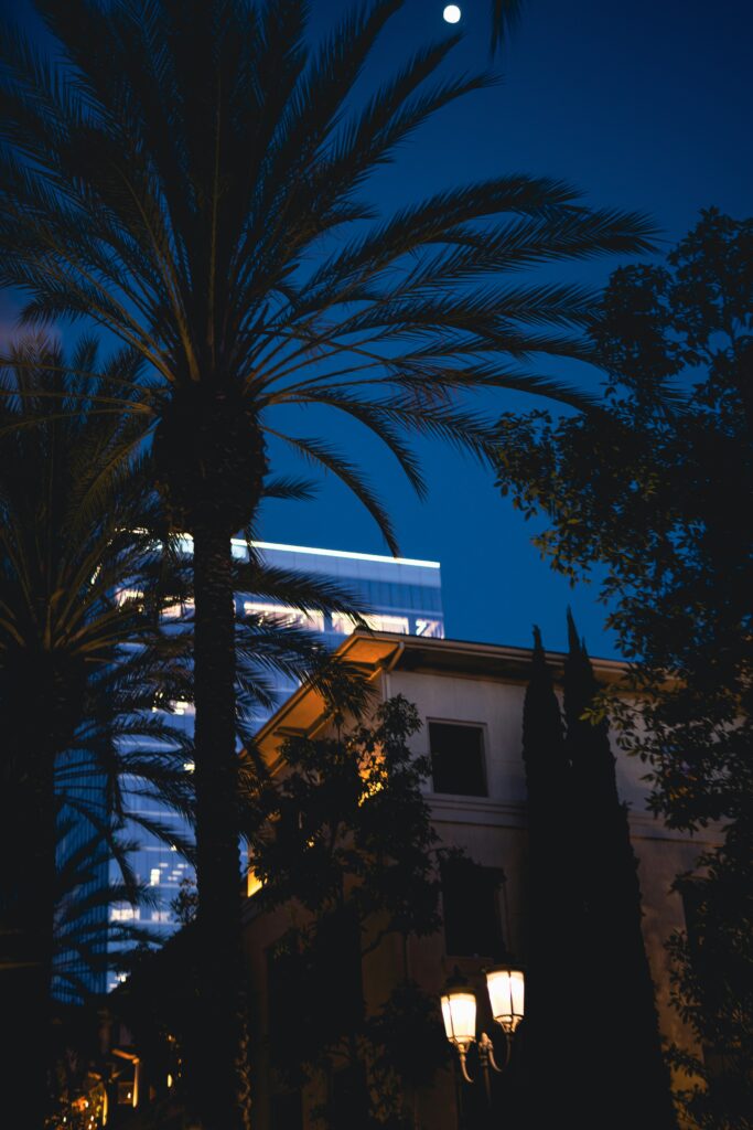 marty o neill mbn9ysrg8j0 unsplash