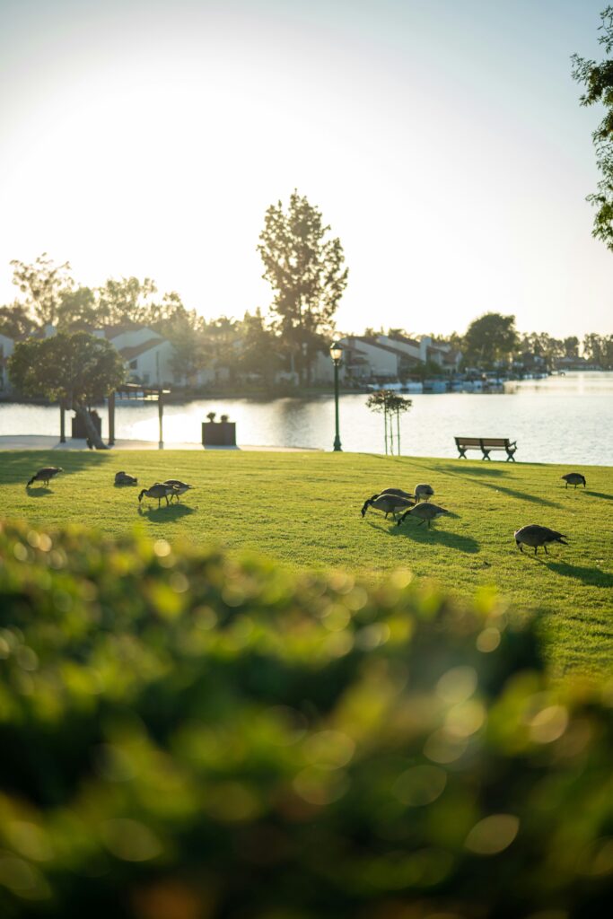 marty o neill qfmmnrdygqs unsplash